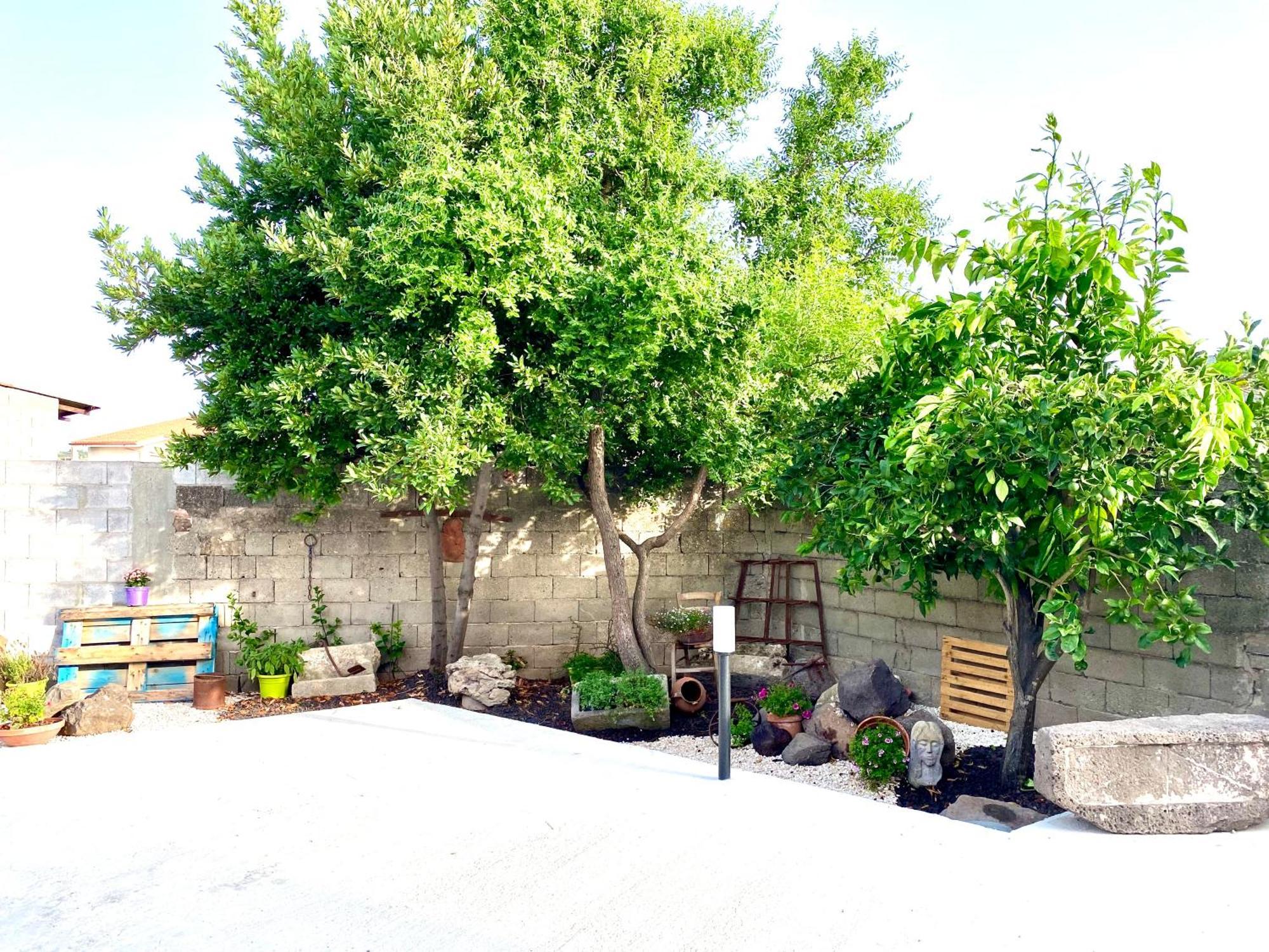 Casa Mora Apartment San Vero Milis Bagian luar foto